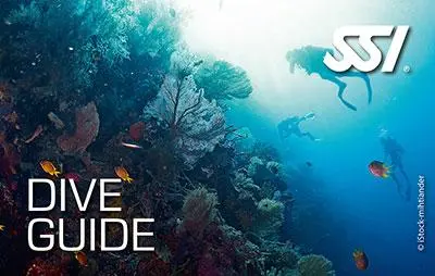 SSI Dive Guide — Prima Treaptă în Cariera Profesională de Scufundare