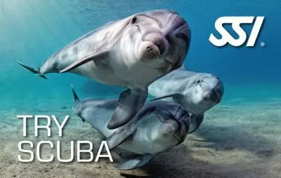 Kit Digital SSI Try Scuba — Inițiere în Scufundări