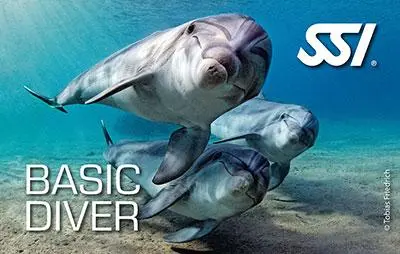 Kit Digital SSI Basic Diver