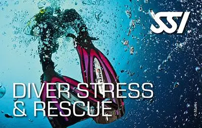 Kit Digital SSI Stress & Rescue