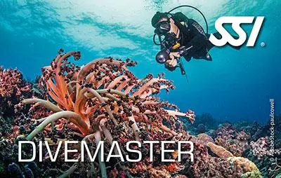 Kit Digital SSI Divemaster